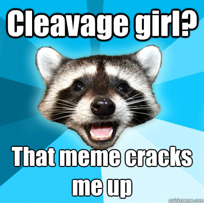 Cleavage girl? That meme cracks me up  Lame Pun Coon
