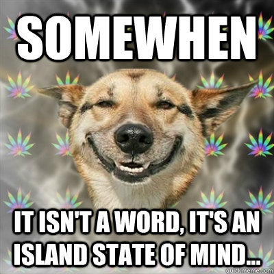 SOMEWHEN It isn't a word, it's an Island state of mind...  Stoner Dog