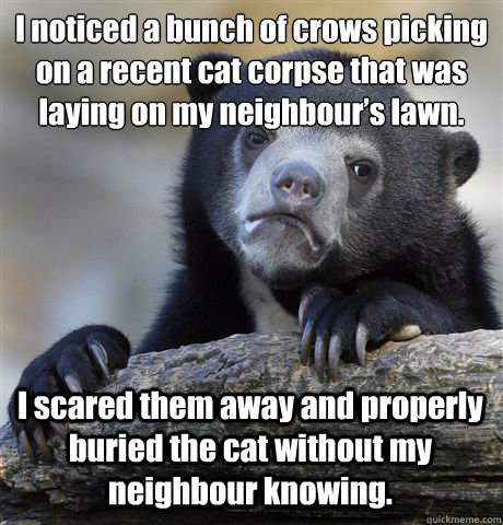 I noticed a bunch of crows picking on a recent cat corpse that was laying on my neighbour’s lawn.  I scared them away and properly buried the cat without my neighbour knowing.  Confession Bear