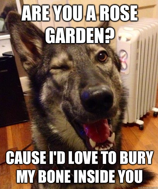 Are you a rose garden? Cause I'd love to bury my bone inside you  Pickup Pup