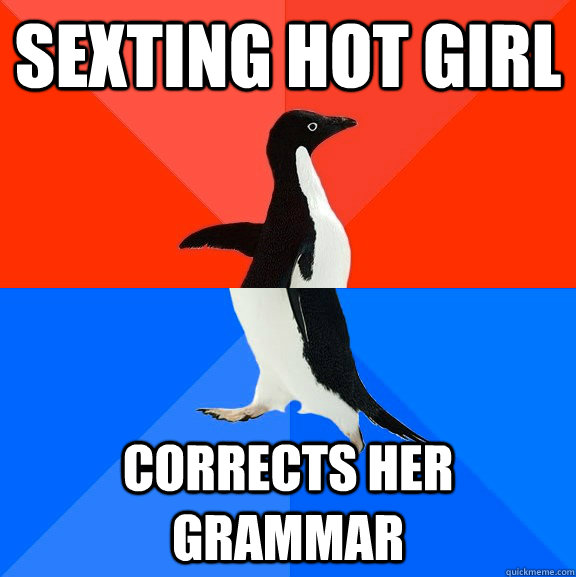 Sexting hot girl Corrects her grammar  Socially Awesome Awkward Penguin