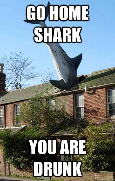 Go home shark You are drunk - Go home shark You are drunk  Misc