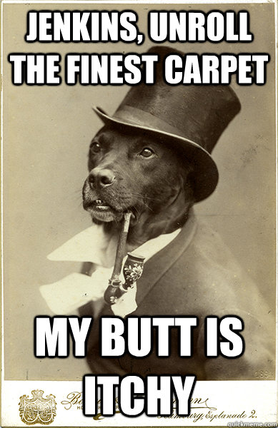 jenkins, unroll the finest carpet my butt is itchy  Old Money Dog