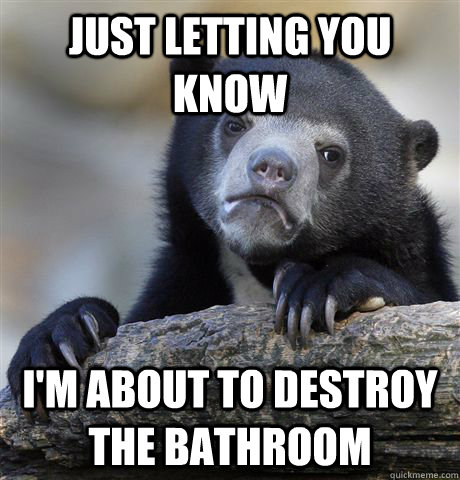 just letting you know i'm about to destroy the bathroom  Confession Bear