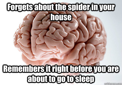 Forgets about the spider in your house Remembers it right before you are about to go to sleep  Scumbag Brain