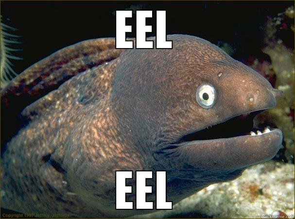 EEL EEL Bad Joke Eel