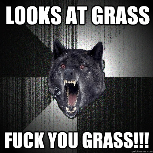 looks at grass fuck you grass!!!  Insanity Wolf