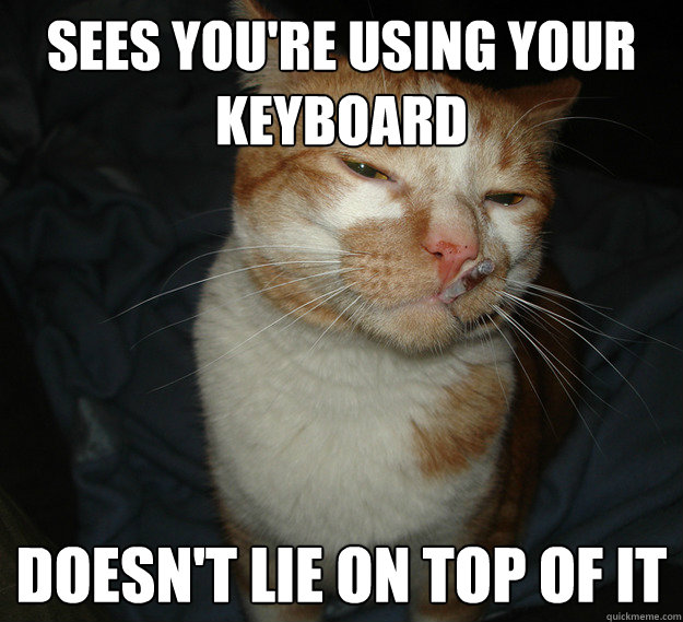 sees you're using your keyboard doesn't lie on top of it  Cool Cat Craig