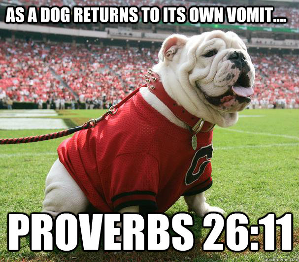 As a dog returns to its own vomit.... Proverbs 26:11  Yes This is UGA