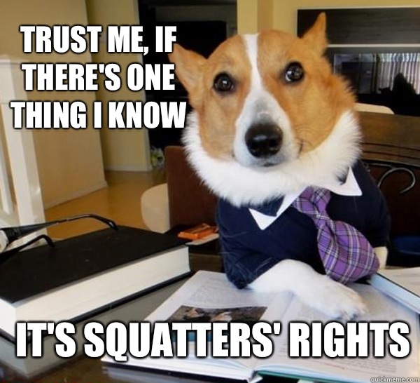 Trust me, if there's one thing I know it's squatters' rights  Lawyer Dog