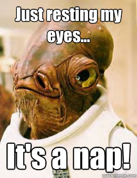 Just resting my eyes... It's a nap! - Just resting my eyes... It's a nap!  Admiral Ackbar Grylls