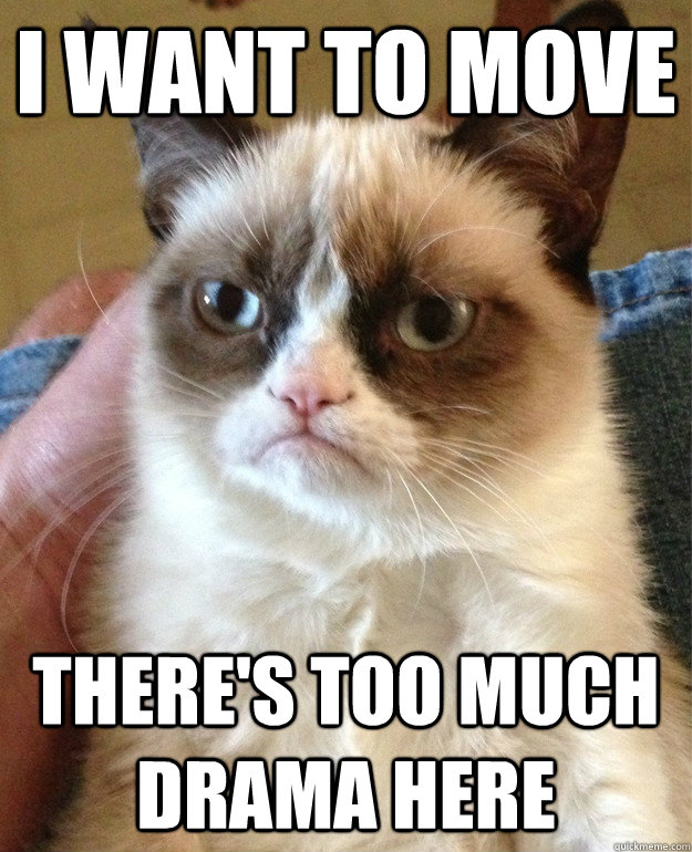I want to move there's too much drama here  Grumpy Cat