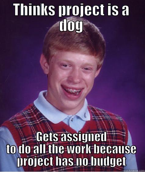 THINKS PROJECT IS A DOG GETS ASSIGNED TO DO ALL THE WORK BECAUSE PROJECT HAS NO BUDGET Bad Luck Brian