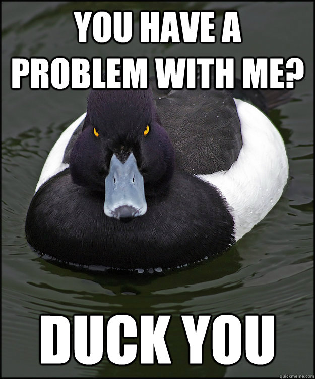 You have a problem with me? Duck You  Angry Advice Duck