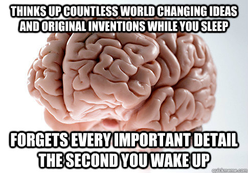 thinks up countless world changing ideas and original inventions while you sleep Forgets every important detail the second you wake up - thinks up countless world changing ideas and original inventions while you sleep Forgets every important detail the second you wake up  Scumbag Brain