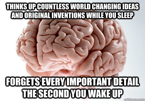 thinks up countless world changing ideas and original inventions while you sleep Forgets every important detail the second you wake up  Scumbag Brain