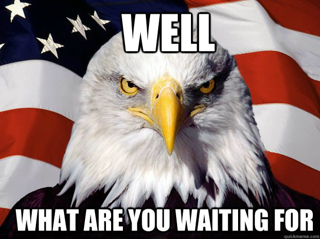   WELL   WHAT ARE YOU WAITING FOR  Merica Eagle