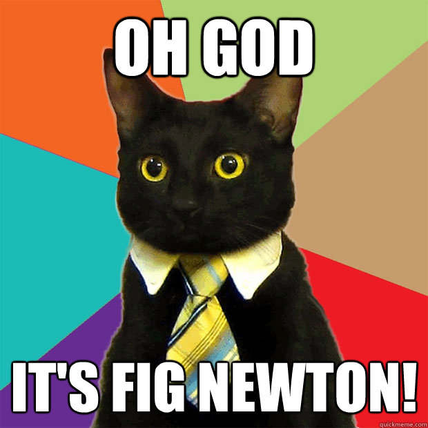 Oh God It's Fig Newton!  Business Cat