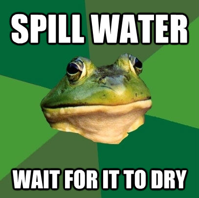 SPILL WATER  WAIT FOR IT TO DRY  Foul Bachelor Frog