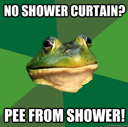 no shower curtain? pee from shower!  Foul Bachelor Frog