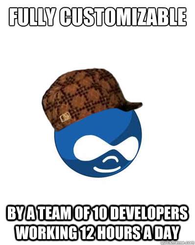 Fully customizable by a team of 10 developers working 12 hours a day  