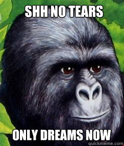 Shh no tears Only dreams now   gorilla munch