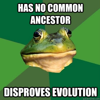 Has no common ancestor Disproves evolution  Foul Bachelor Frog