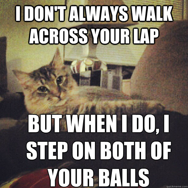 I don't always walk across your lap but when I do, I step on both of your balls  