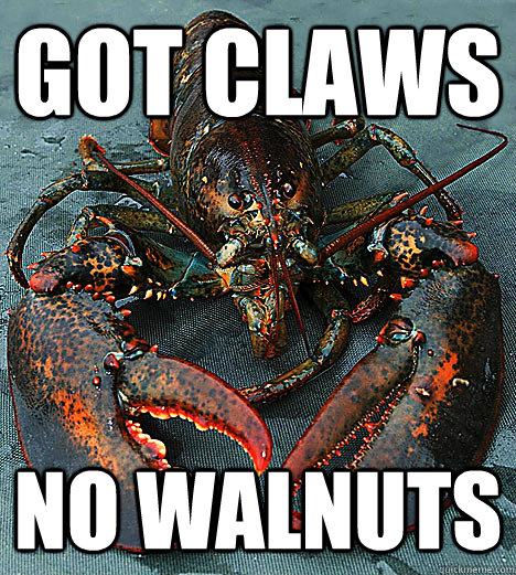 got claws no walnuts - got claws no walnuts  Bad Luck Lobster