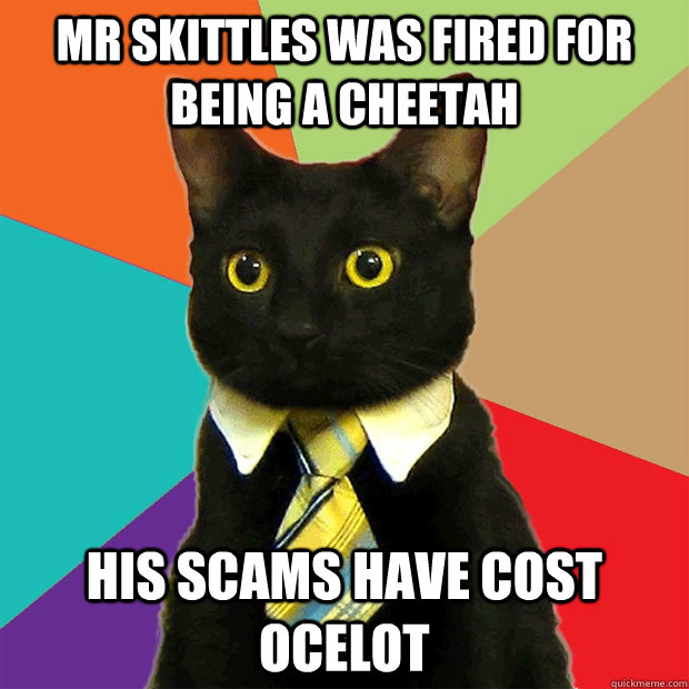 mr skittles was fired for being a cheetah his scams have cost ocelot - mr skittles was fired for being a cheetah his scams have cost ocelot  Business Cat
