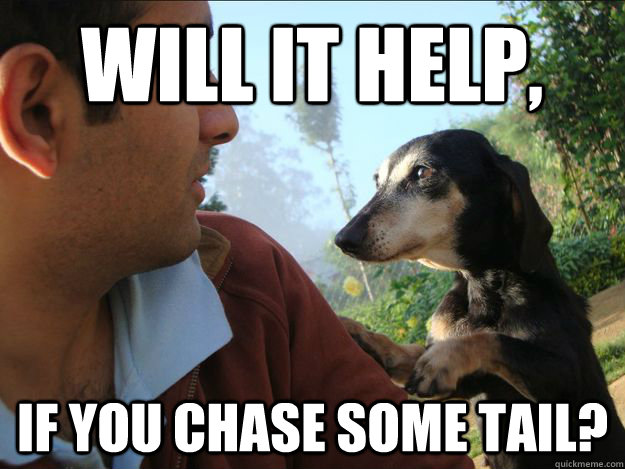 WIll it help, If you chase some tail?  