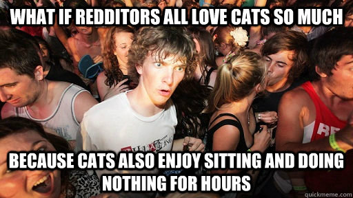 What if redditors all love cats so much Because cats also enjoy sitting and doing nothing for hours  Sudden Clarity Clarence