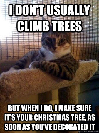 I don't usually climb trees but when I do, i make sure it's your Christmas tree, as soon as you've decorated it  The Most Interesting Cat in the World