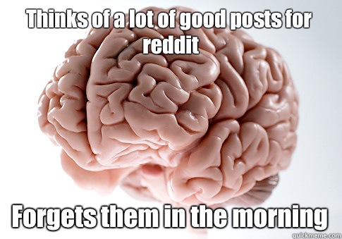 Thinks of a lot of good posts for reddit Forgets them in the morning   Scumbag Brain