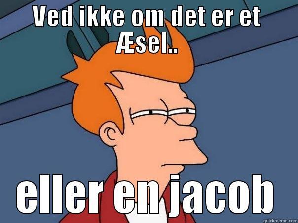 VED IKKE OM DET ER ET ÆSEL.. ELLER EN JACOB Futurama Fry