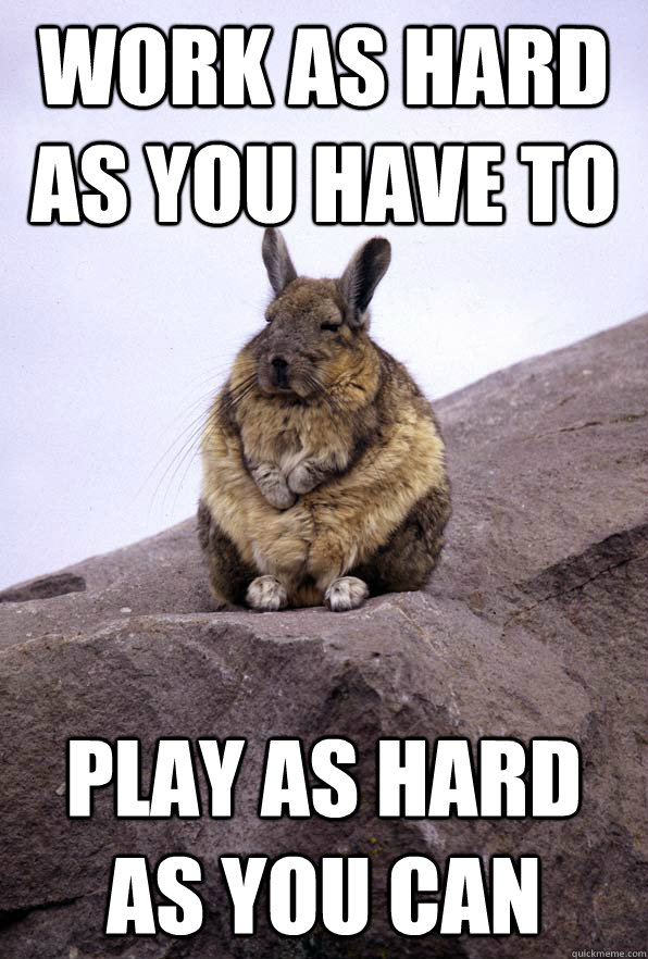 Work as hard as you have to Play as hard as you can - Work as hard as you have to Play as hard as you can  Wise Wondering Viscacha