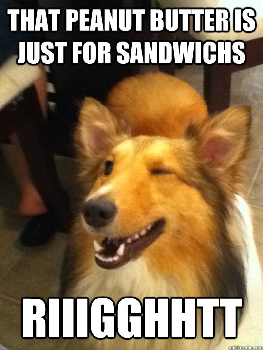 That Peanut butter is just for sandwichs riiigghhtt  implying dog