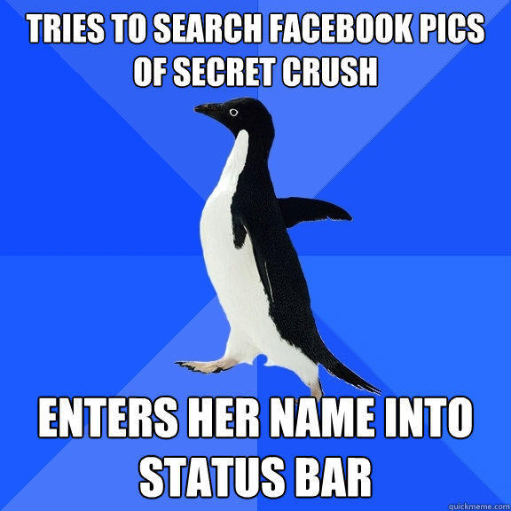 tries to search facebook pics of secret crush enters her name into status bar - tries to search facebook pics of secret crush enters her name into status bar  Socially Awkward Penguin