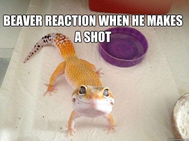 but warms your heart Beaver reaction when he makes a shot - but warms your heart Beaver reaction when he makes a shot  Ridiculously Photogenic Gecko