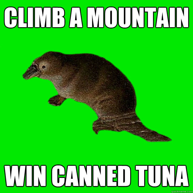 Climb a mountain Win Canned Tuna - Climb a mountain Win Canned Tuna  Non-sequitur Platypus