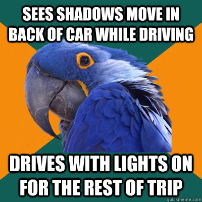 sees shadows move in back of car while driving drives with lights on for the rest of trip  Paranoid Parrot