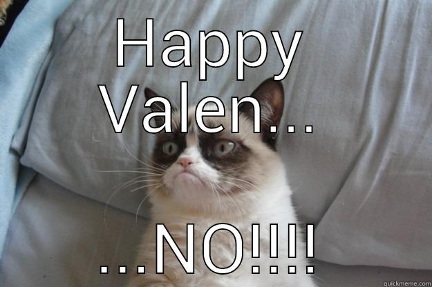 HAPPY VALEN... ...NO!!!! Grumpy Cat