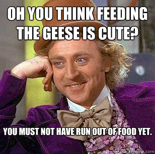 Oh you think feeding the geese is cute?   You must not have run out of food yet.  Condescending Wonka