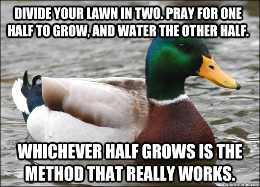 divide your lawn in two. pray for one half to grow, and water the other half. whichever half grows is the method that really works.  Actual Advice Mallard