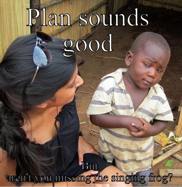 PLAN SOUNDS GOOD BUT AREN'T YOU MISSING THE SINGING FROG? Skeptical Third World Kid