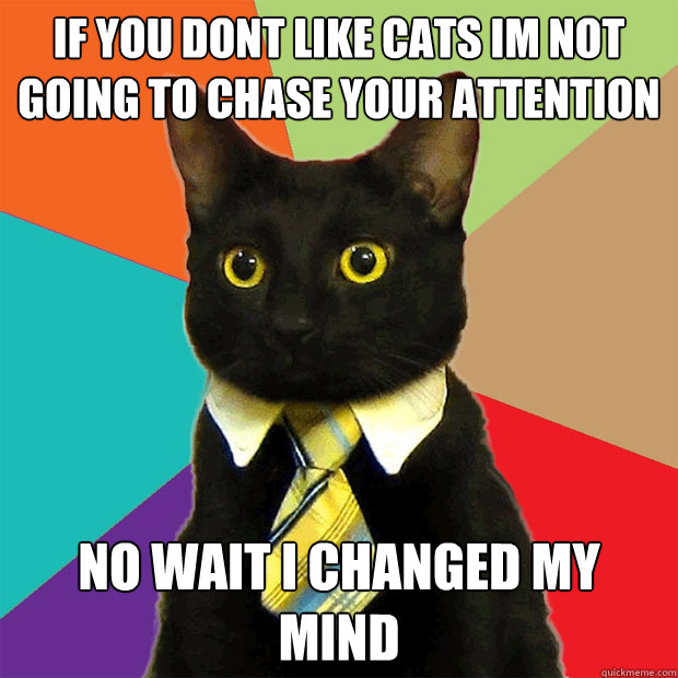 If you dont like cats im not going to chase your attention No wait i changed my mind  Business Cat