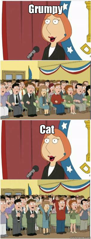 Grumpy Cat  911 lois