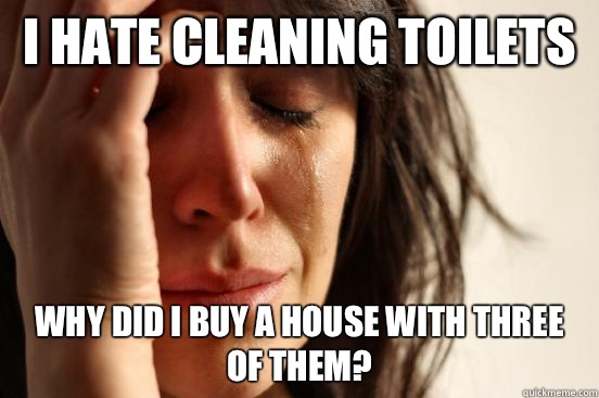 I hate cleaning toilets Why did I buy a house with three of them?   First World Problems