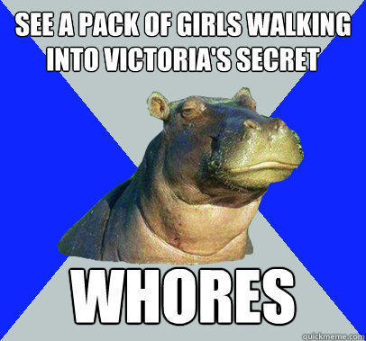 See a pack of girls walking into victoria's secret whores - See a pack of girls walking into victoria's secret whores  Skeptical Hippo