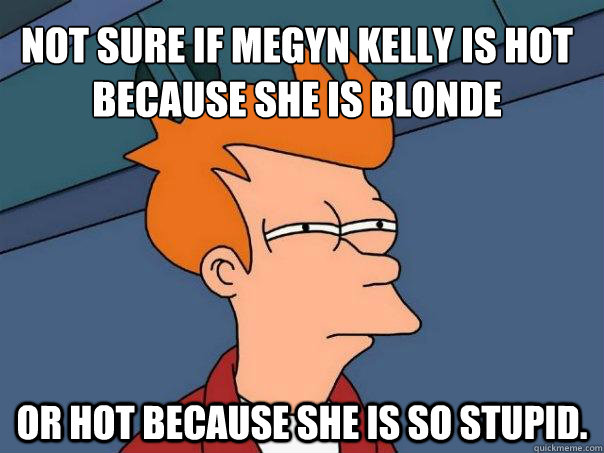 Not sure if Megyn Kelly is hot because she is blonde or hot because she is so stupid.  Futurama Fry